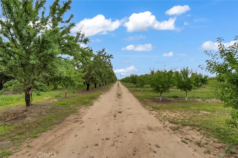 14706 Peach Avenue Livingston, CA 95334