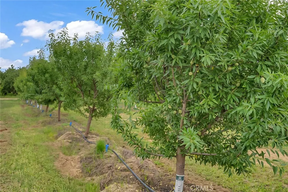 14706 Peach Avenue Livingston, CA 95334