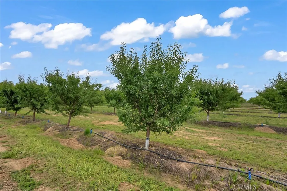 14706 Peach Avenue Livingston, CA 95334