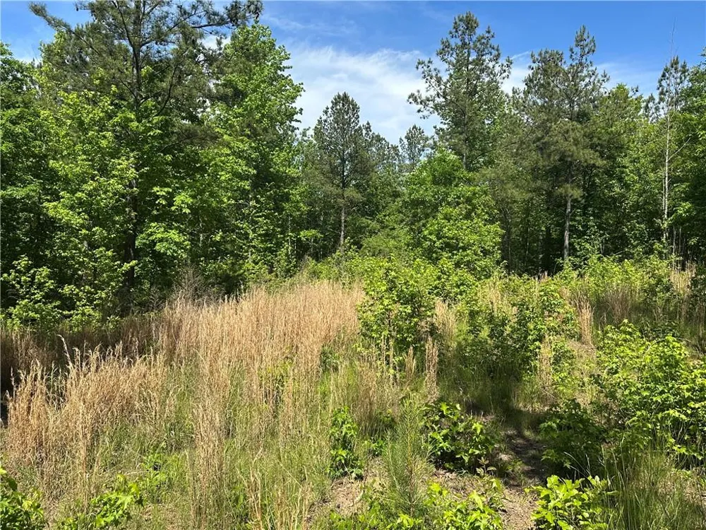 127 Sam Sutton Road NW Adairsville, GA 30103