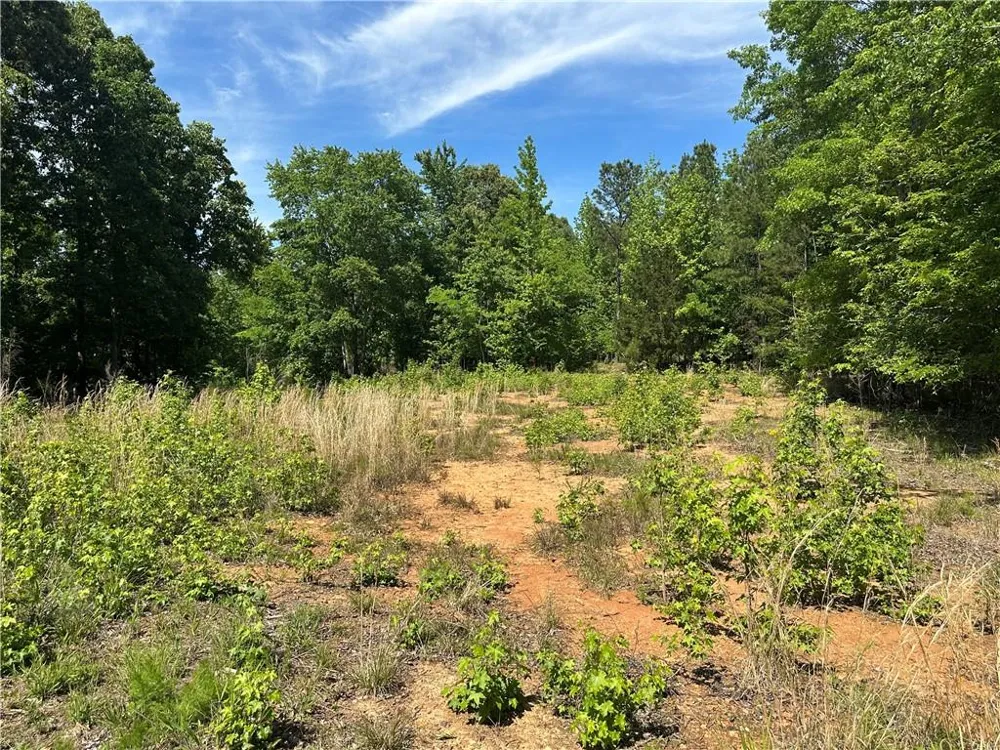 127 Sam Sutton Road NW Adairsville, GA 30103