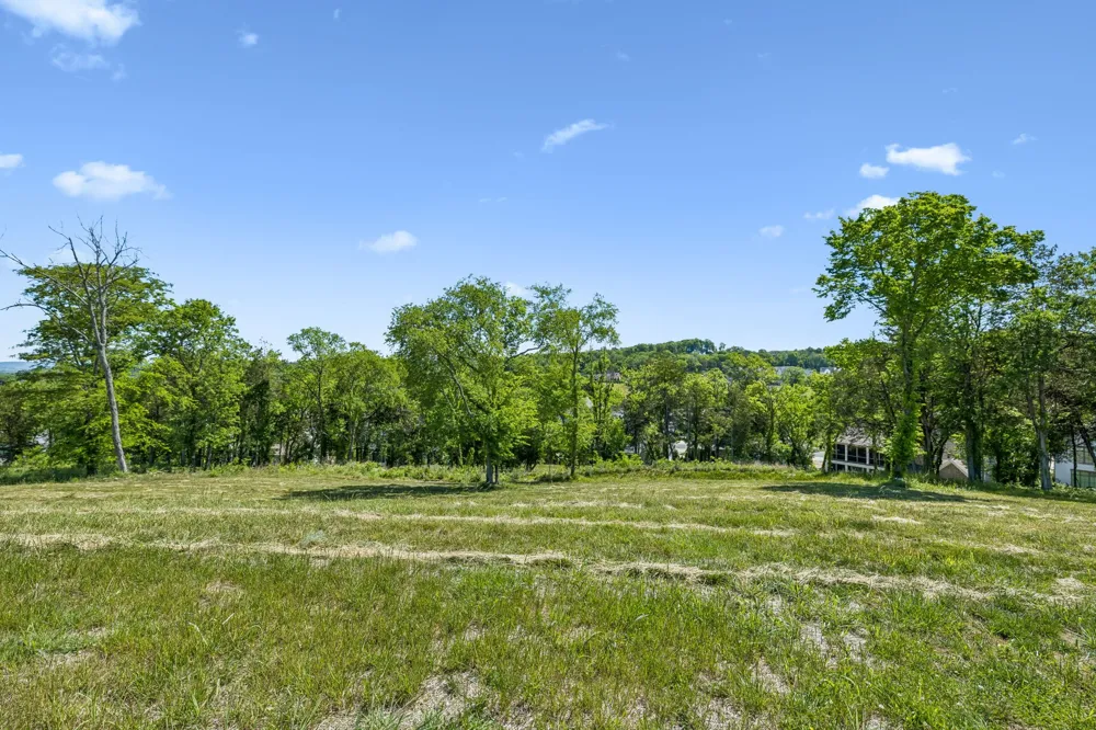 9120 Sawtooth Ln College Grove, TN 37046