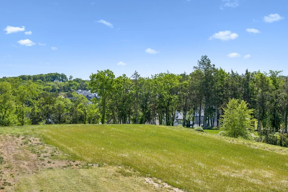 9120 Sawtooth Ln College Grove, TN 37046