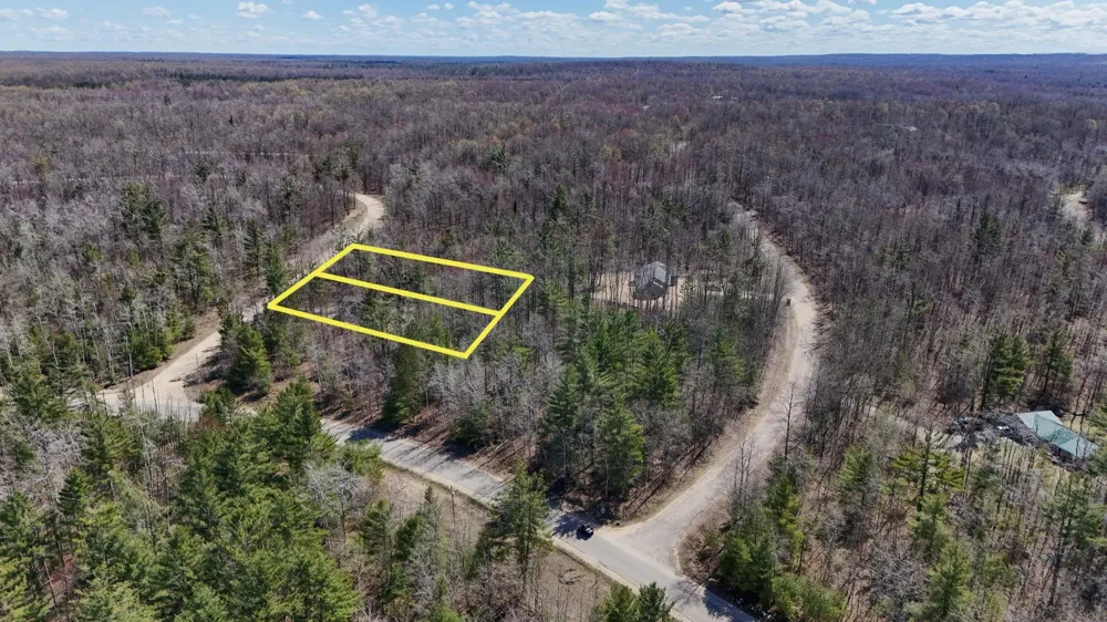 10518 Timberline Drive Star Township, MI 49730