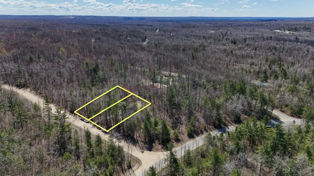 10518 Timberline Drive Star Township, MI 49730
