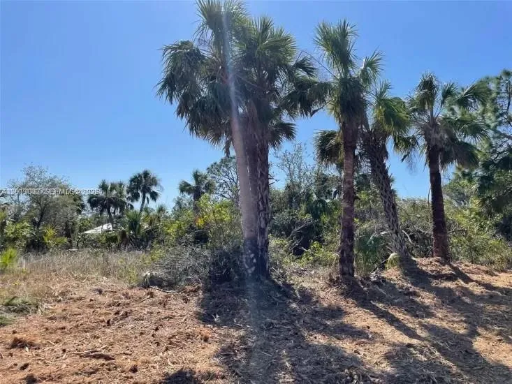 14375 Howard Avenue Port Charlotte, FL 33953
