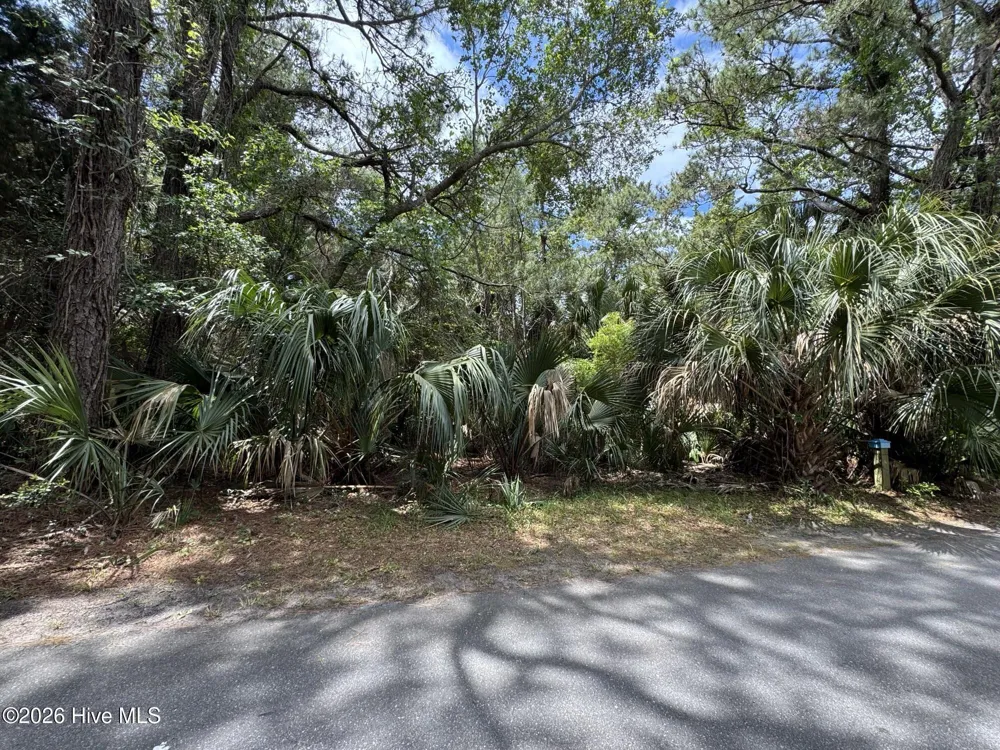 8 Dowitcher Trail Bald Head Island, NC 28461