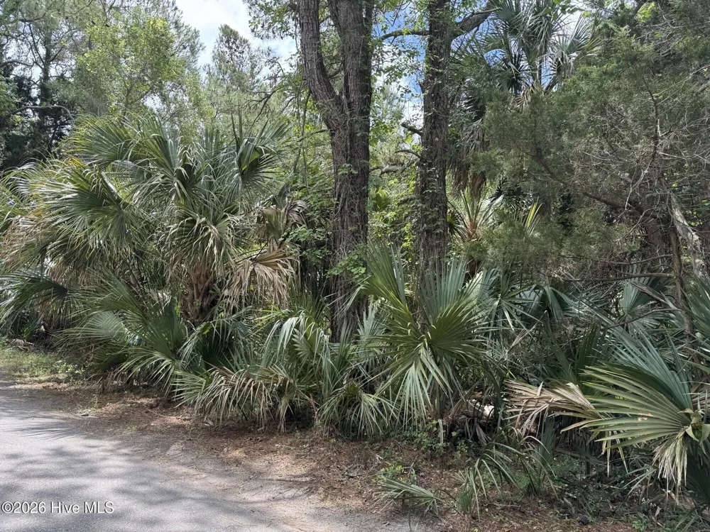 8 Dowitcher Trail Bald Head Island, NC 28461