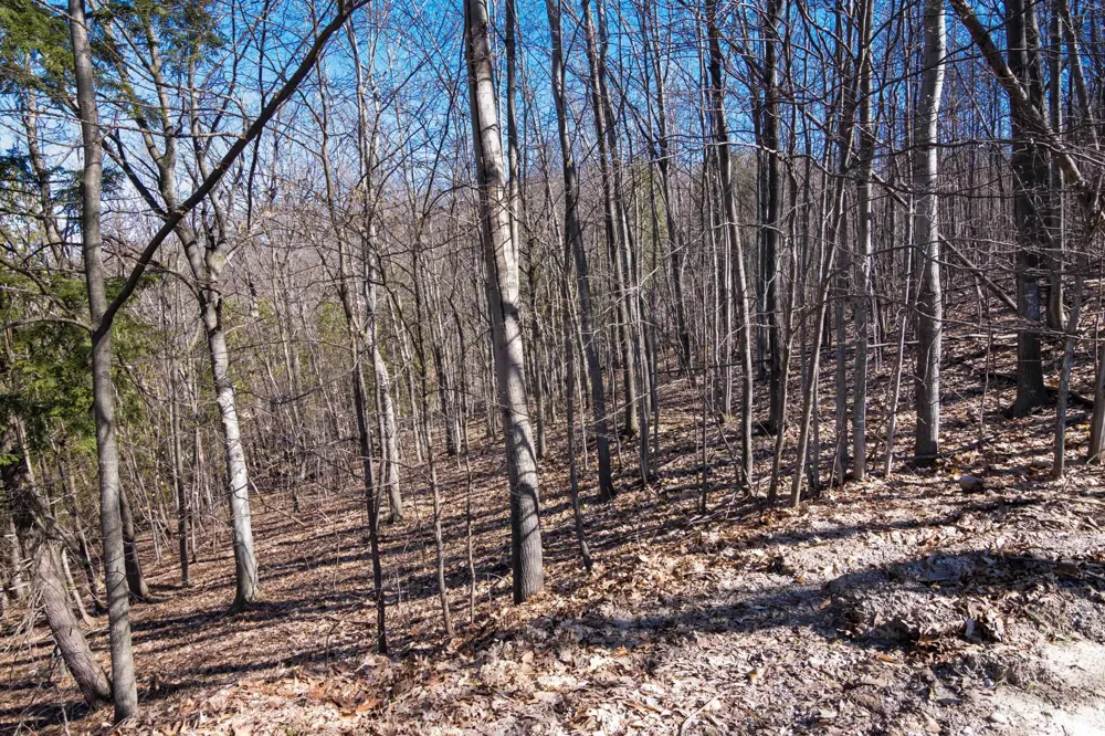 Creek Hill Drive Kearney Township, MI 49615