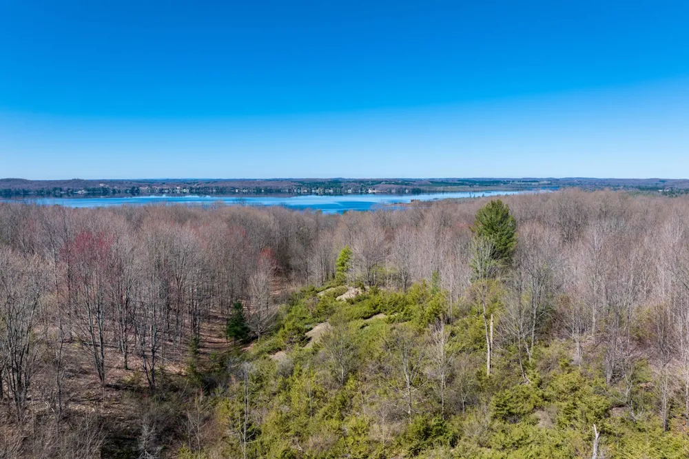 Creek Hill Drive Kearney Township, MI 49615