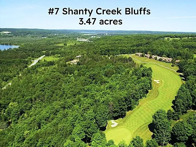 Creek Hill Drive Kearney Township, MI 49615