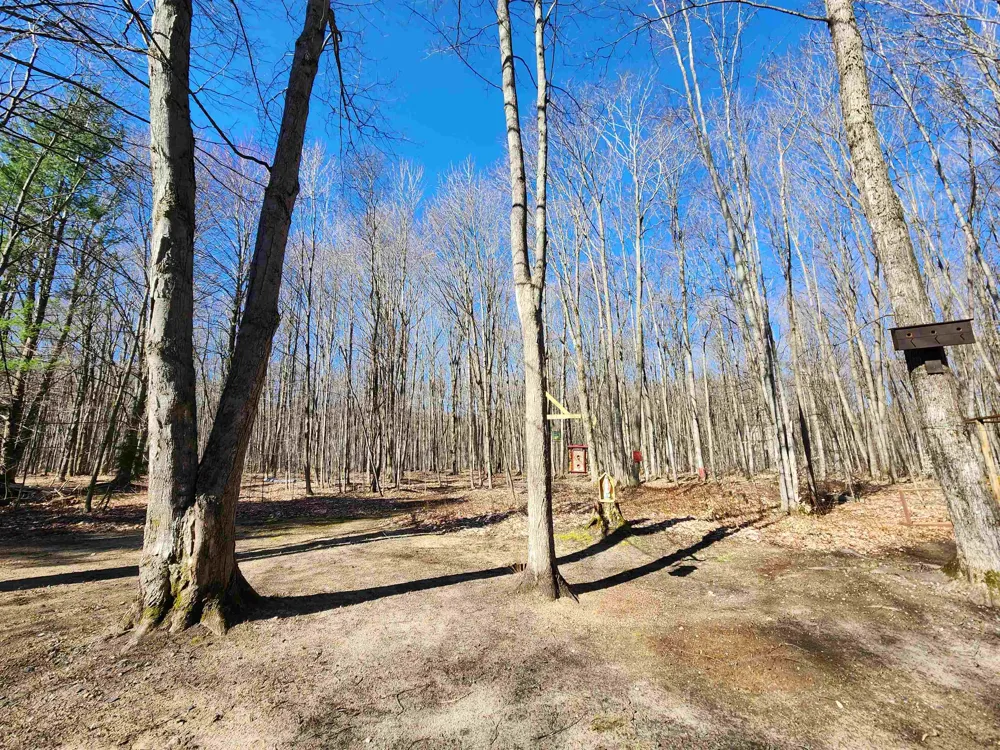 7512 Greenleaf Drive Mancelona Township, MI 49659