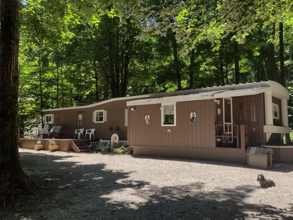 7512 Greenleaf Drive Mancelona Township, MI 49659