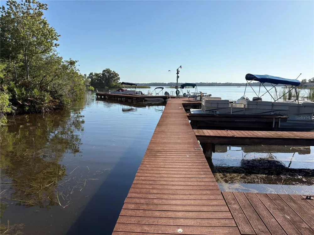 2511 2511 DOLLY BAY DRIVE #102 Palm Harbor, FL 34684