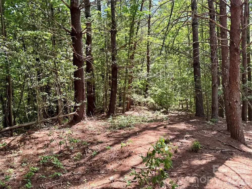 Lot 104 Johns Ridge Parkway #104 Lenoir, NC 28645