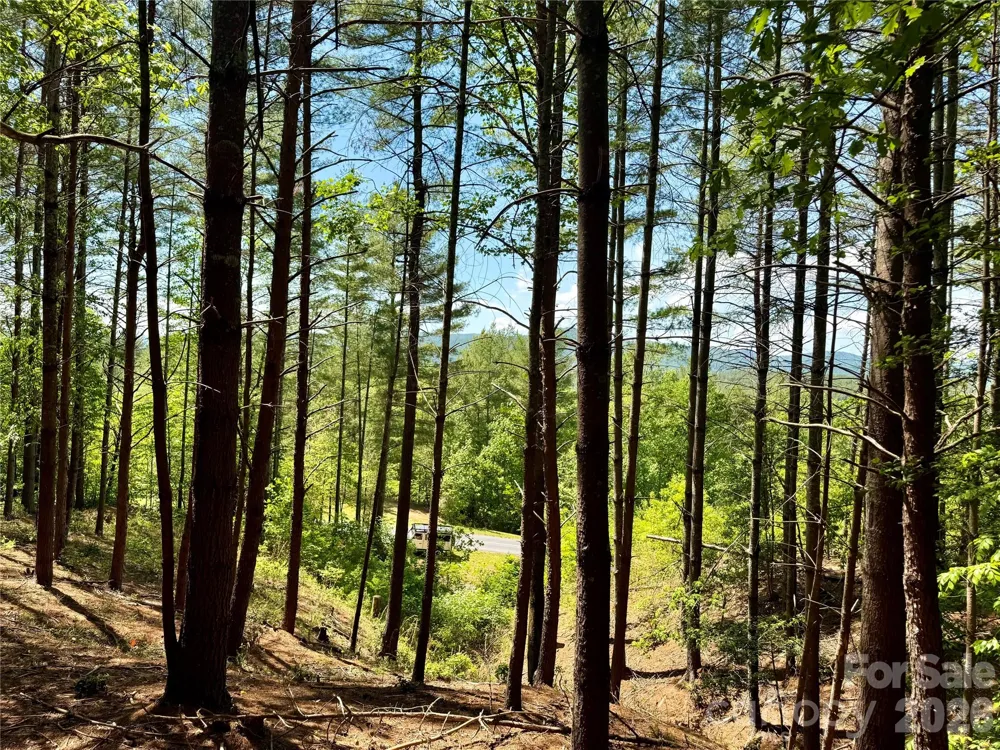 Lot 104 Johns Ridge Parkway #104 Lenoir, NC 28645