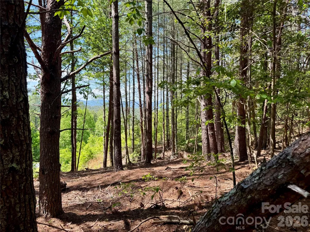 Lot 104 Johns Ridge Parkway #104 Lenoir, NC 28645