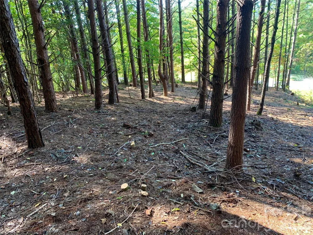 Lot 104 Johns Ridge Parkway #104 Lenoir, NC 28645
