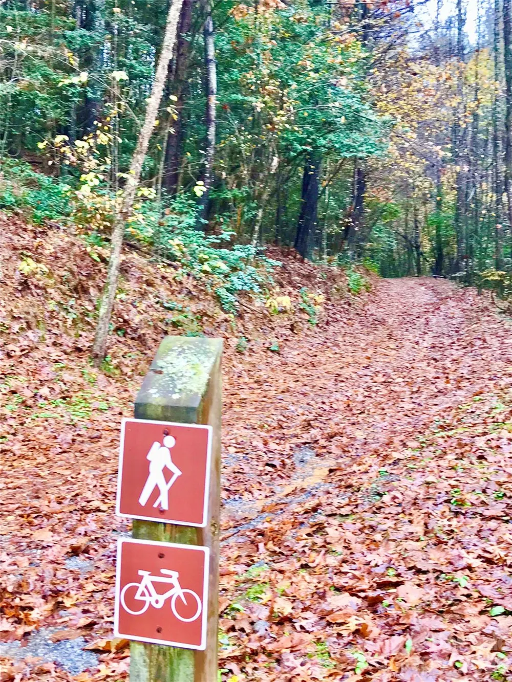 Lot 104 Johns Ridge Parkway #104 Lenoir, NC 28645
