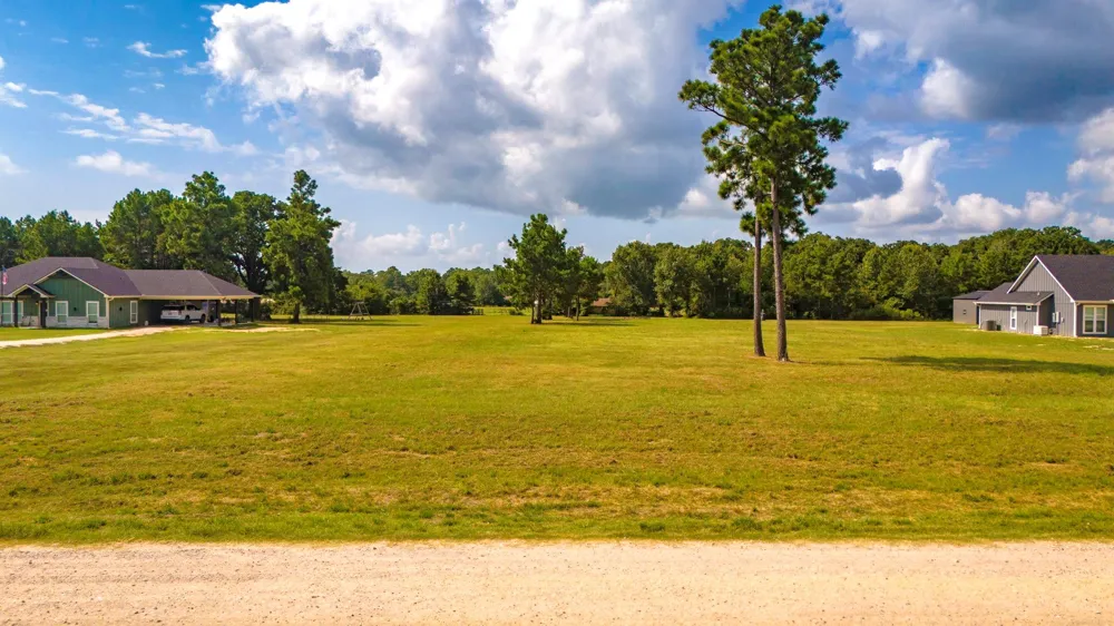 350 Brushy Creek Drive Onalaska, TX 77360