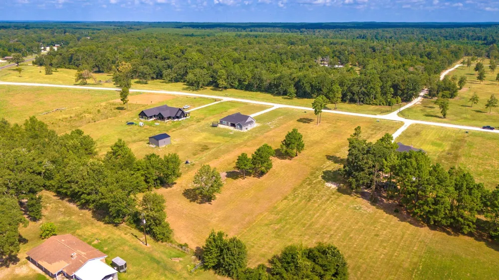 350 Brushy Creek Drive Onalaska, TX 77360