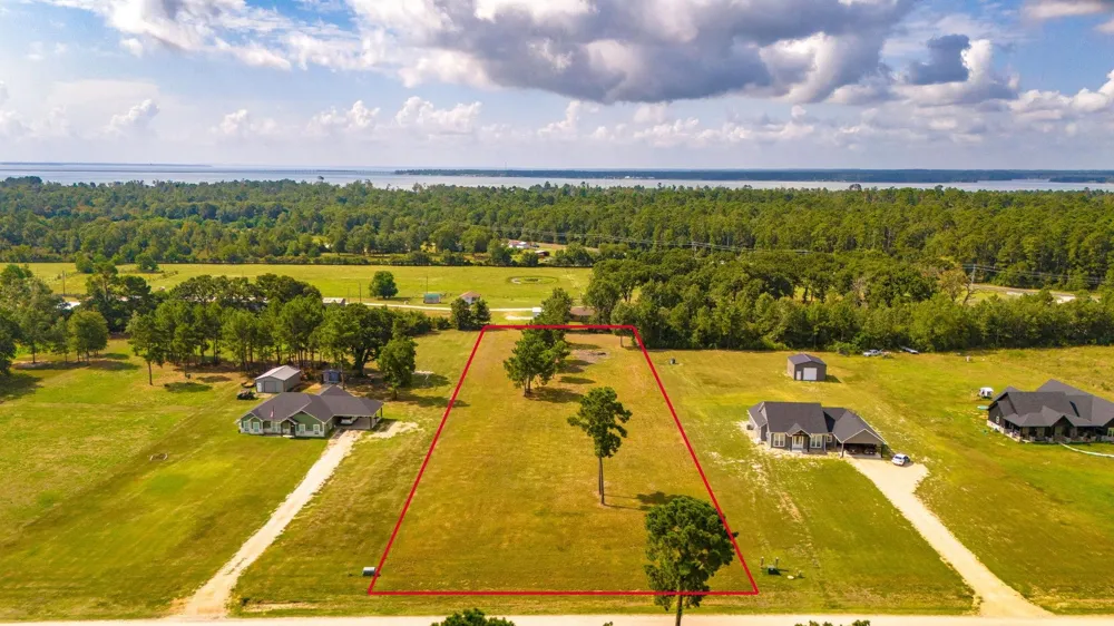 350 Brushy Creek Drive Onalaska, TX 77360