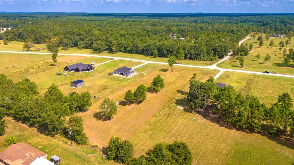 350 Brushy Creek Drive Onalaska, TX 77360