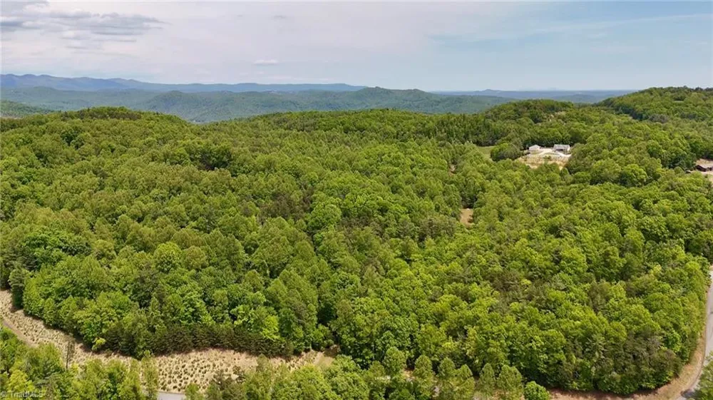 0000 Ashe View Drive Millers Creek, NC 28651