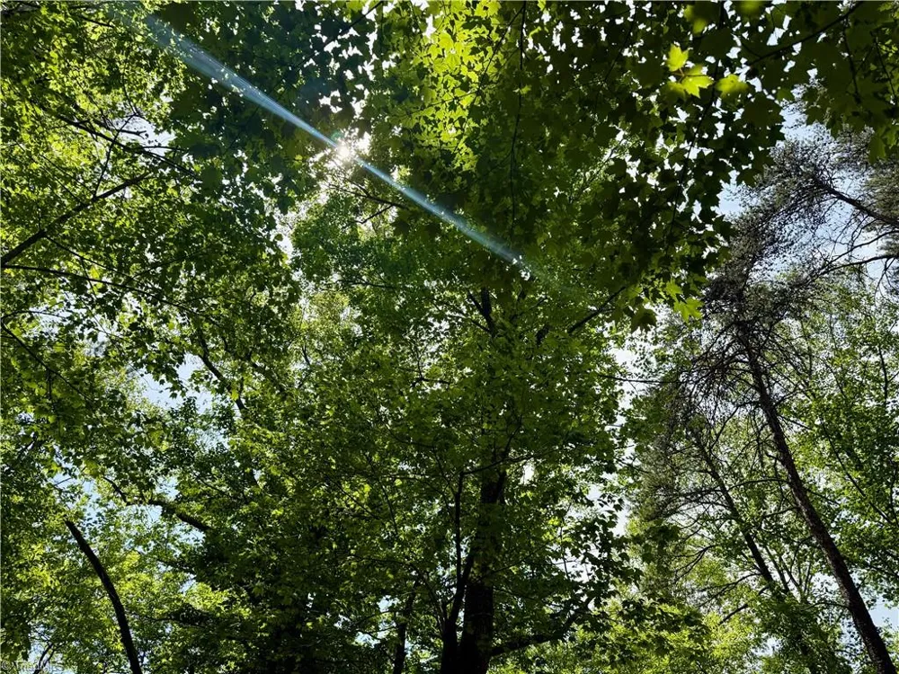 0000 Ashe View Drive Millers Creek, NC 28651