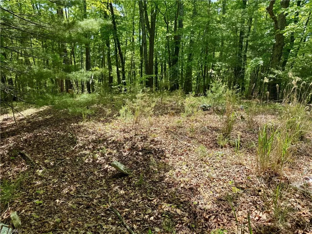 0000 Ashe View Drive Millers Creek, NC 28651