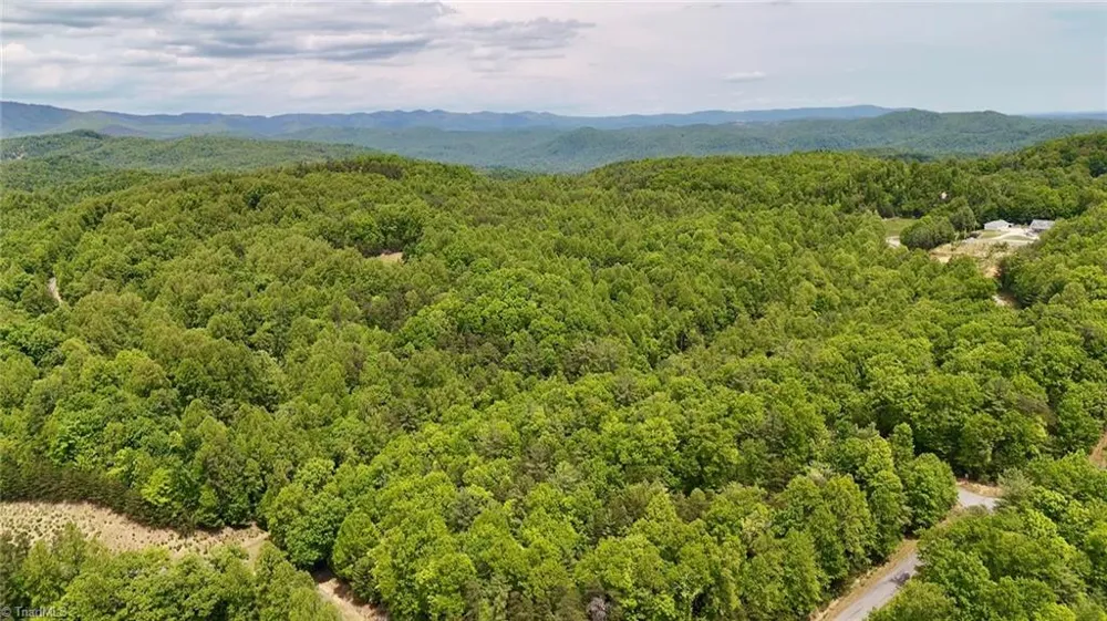 0000 Ashe View Drive Millers Creek, NC 28651