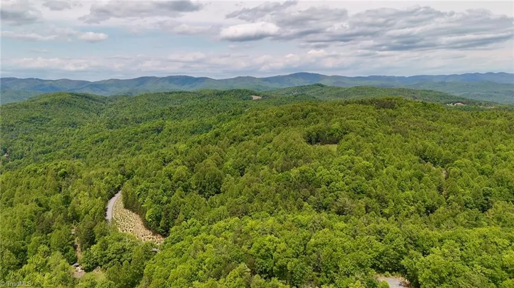 0000 Ashe View Drive Millers Creek, NC 28651
