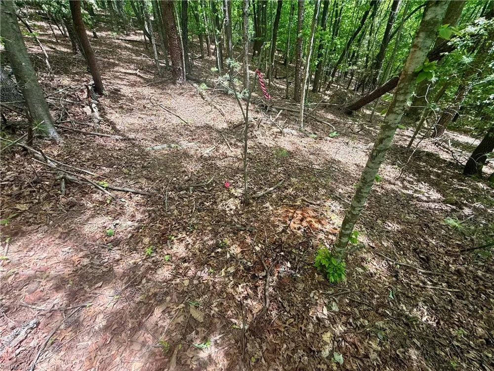 0000 Ashe View Drive Millers Creek, NC 28651