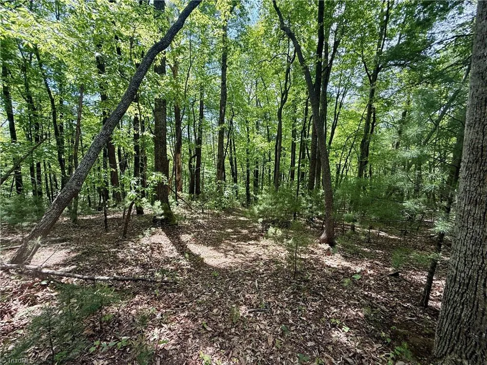 0000 Ashe View Drive Millers Creek, NC 28651