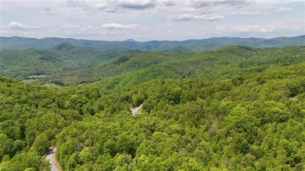0000 Ashe View Drive Millers Creek, NC 28651