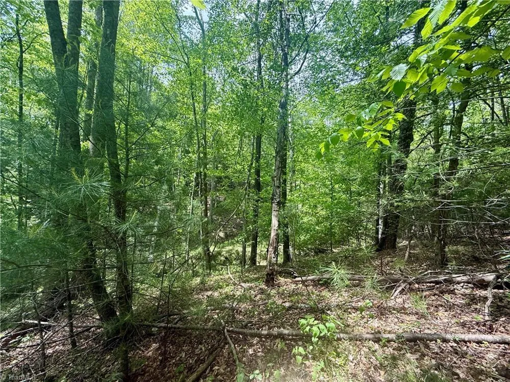 0000 Ashe View Drive Millers Creek, NC 28651