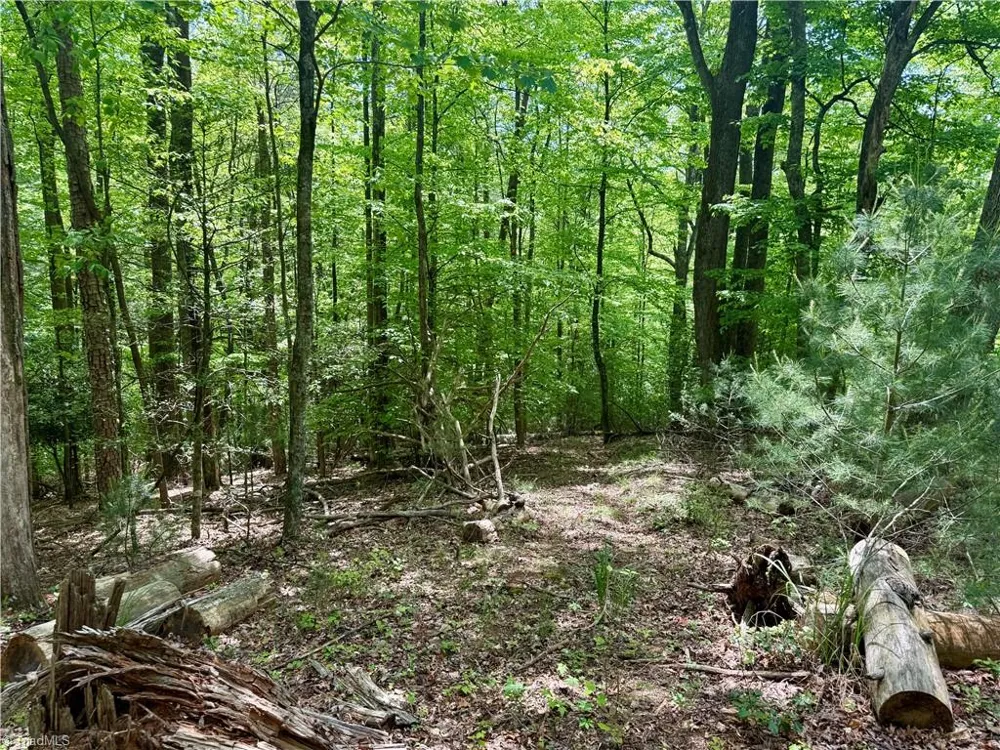 0000 Ashe View Drive Millers Creek, NC 28651