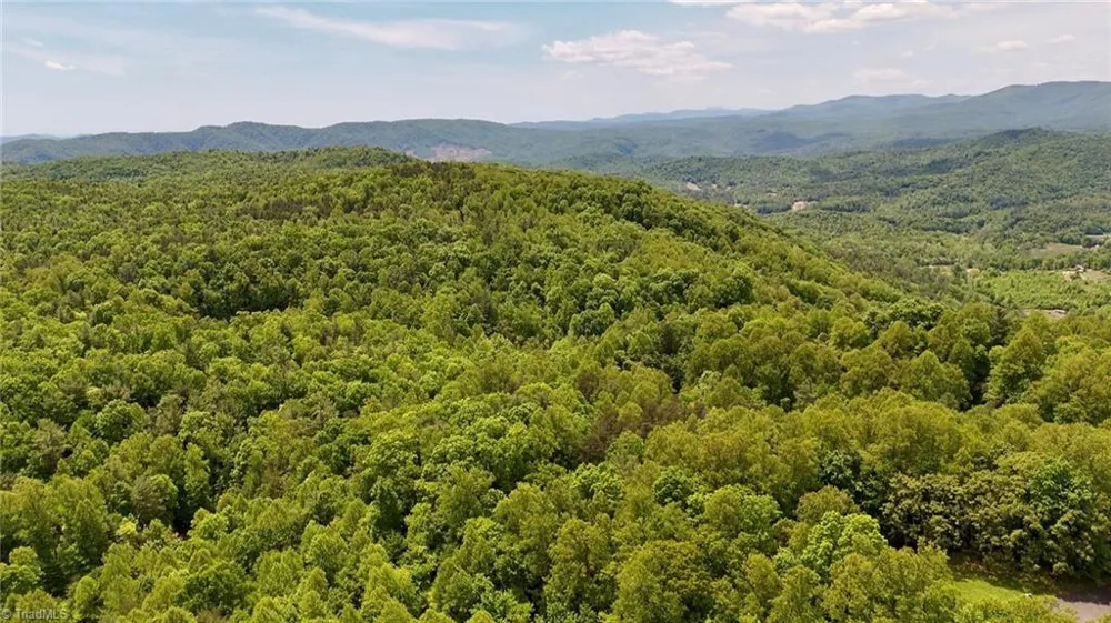 0000 Ashe View Drive Millers Creek, NC 28651