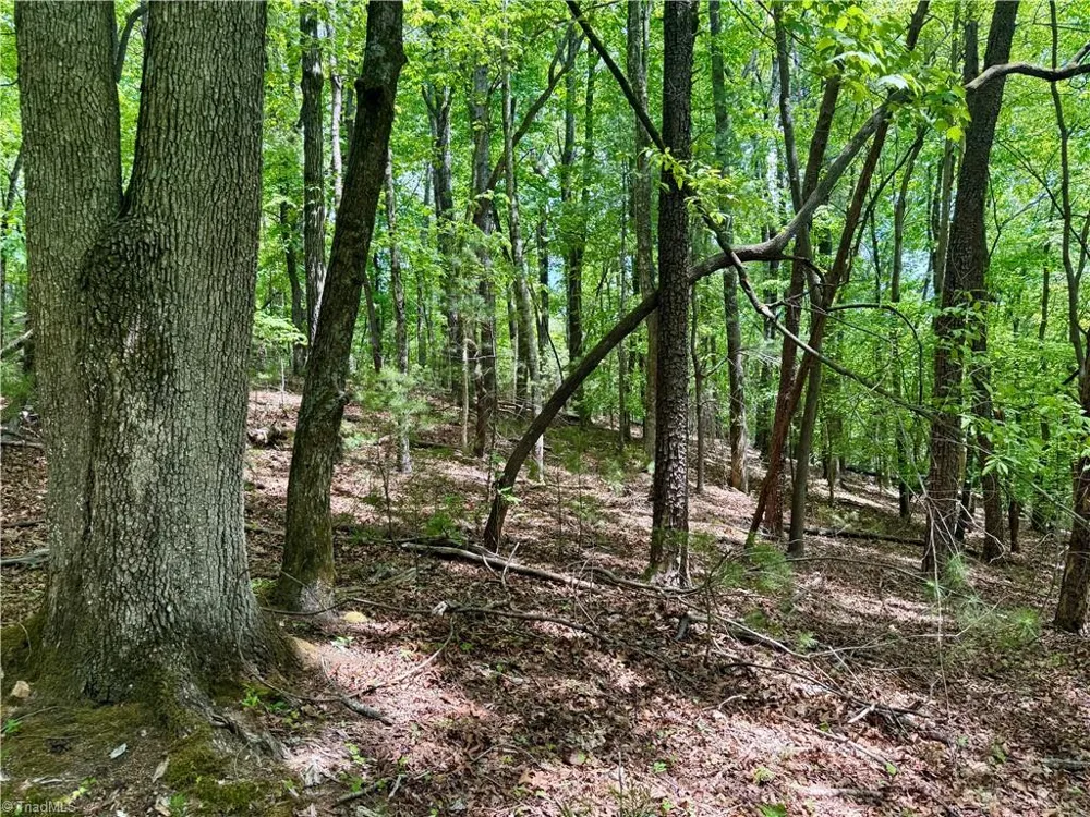 0000 Ashe View Drive Millers Creek, NC 28651