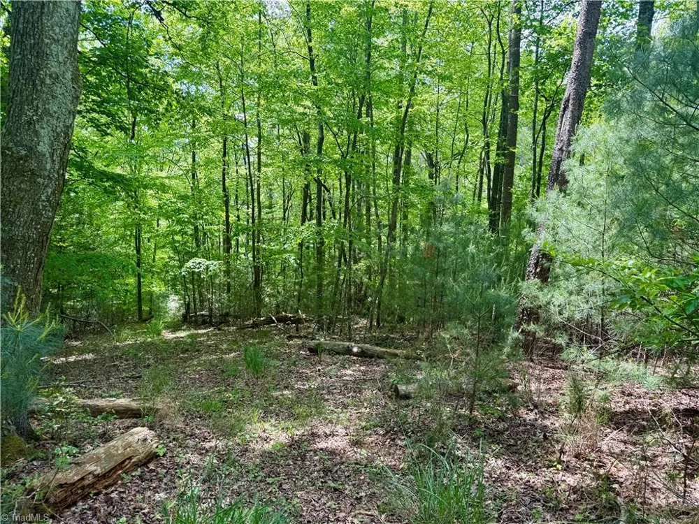 0000 Ashe View Drive Millers Creek, NC 28651