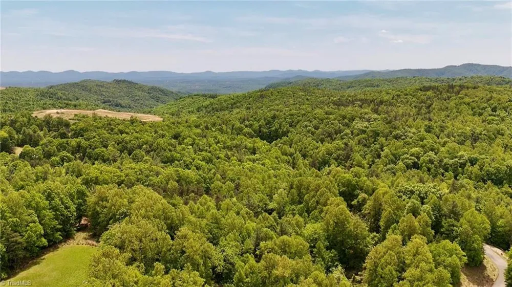 0000 Ashe View Drive Millers Creek, NC 28651