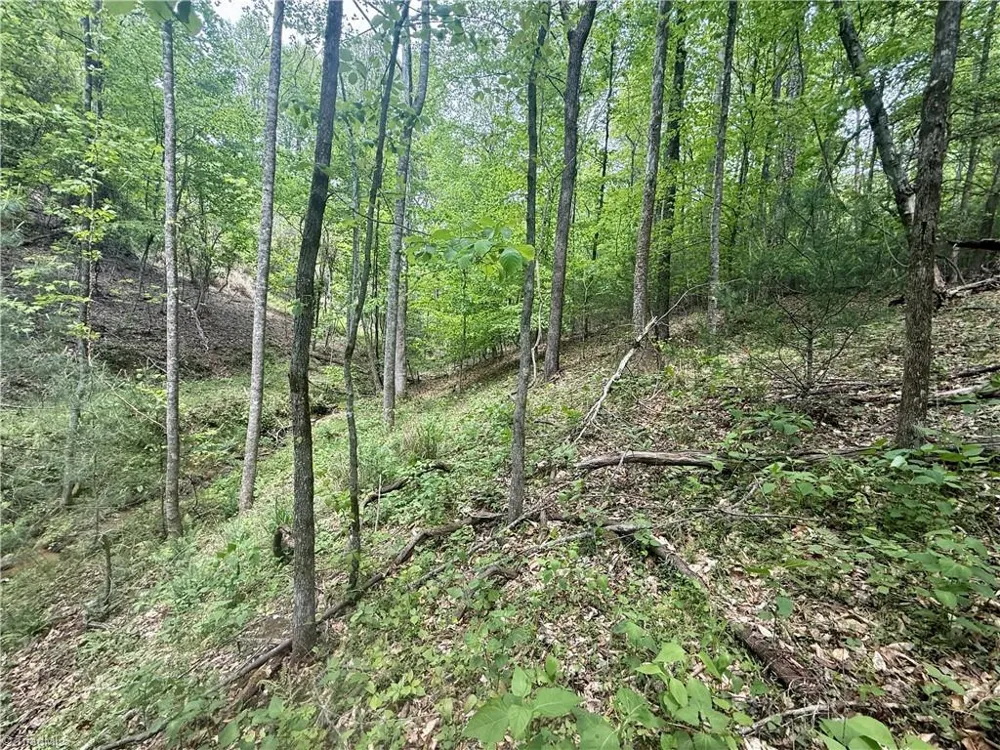 0000 Ashe View Drive Millers Creek, NC 28651