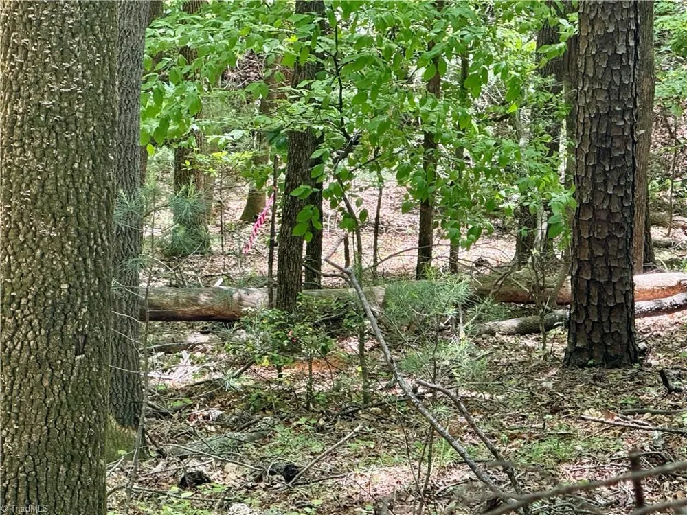 0000 Ashe View Drive Millers Creek, NC 28651