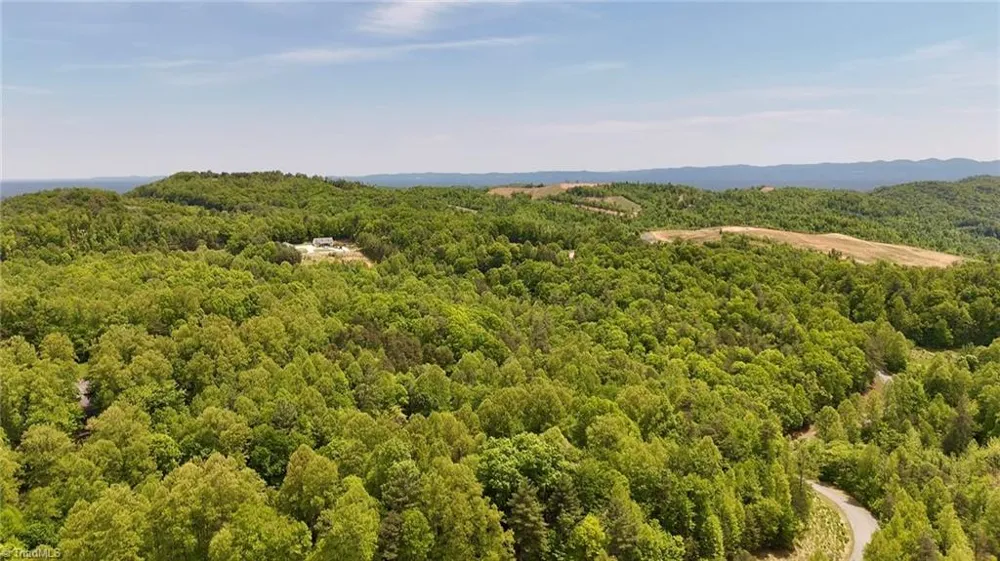 0000 Ashe View Drive Millers Creek, NC 28651