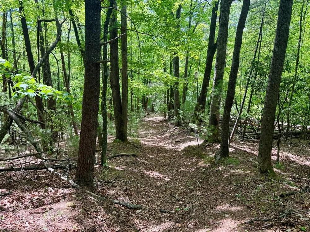 0000 Ashe View Drive Millers Creek, NC 28651