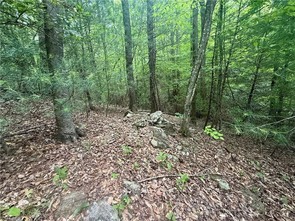 0000 Ashe View Drive Millers Creek, NC 28651