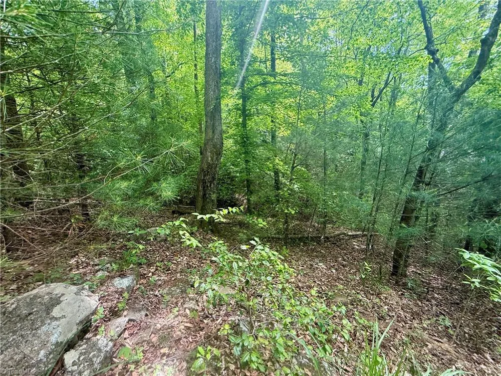 0000 Ashe View Drive Millers Creek, NC 28651