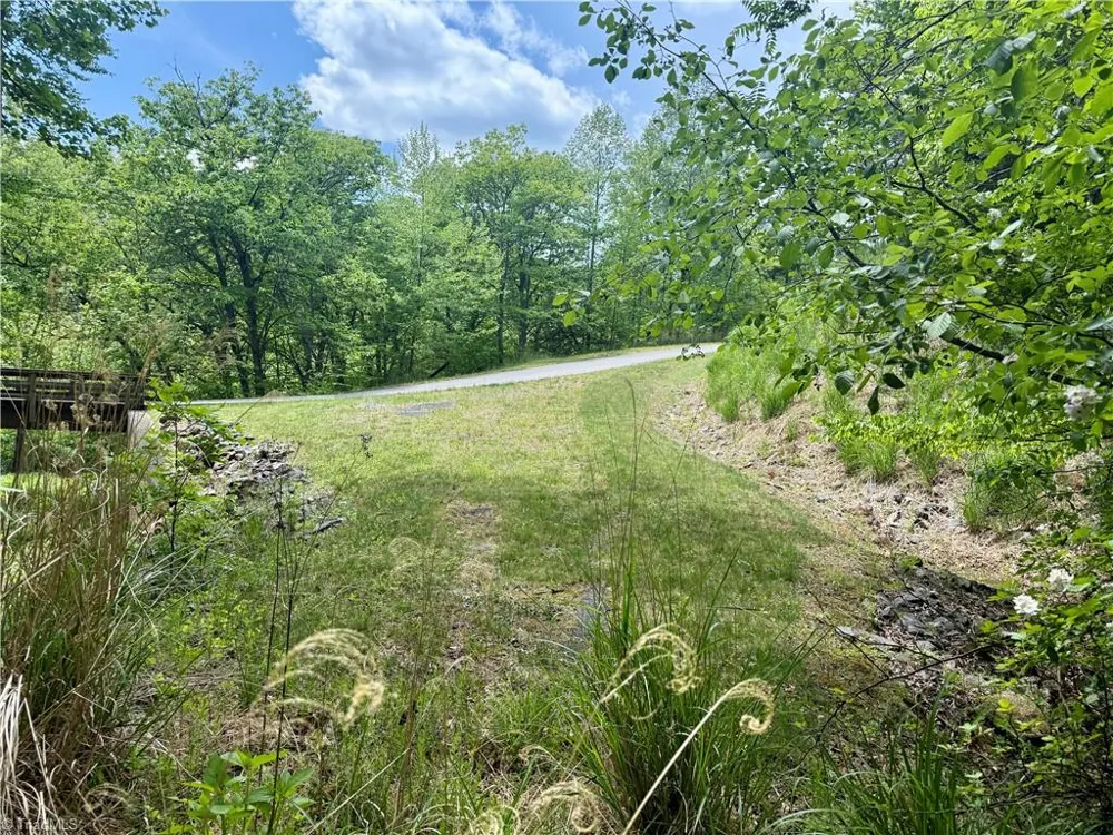 0000 Ashe View Drive Millers Creek, NC 28651