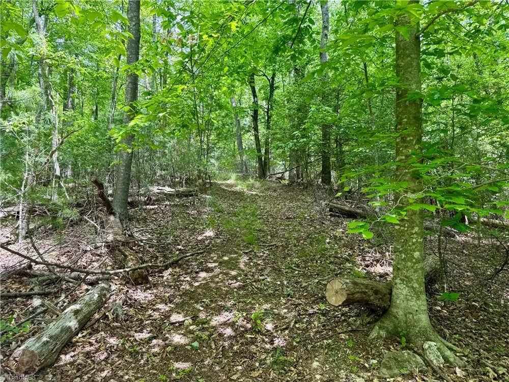 0000 Ashe View Drive Millers Creek, NC 28651