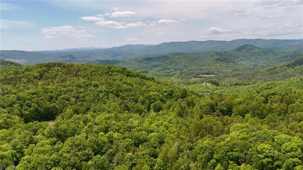 0000 Ashe View Drive Millers Creek, NC 28651
